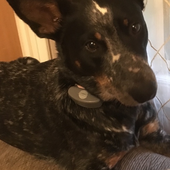 Meet your Posher, Linda - Picture 6 of 7